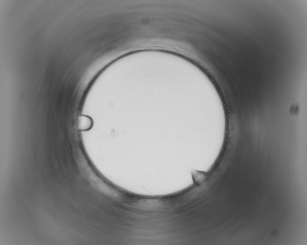 X0000112841517200910021055