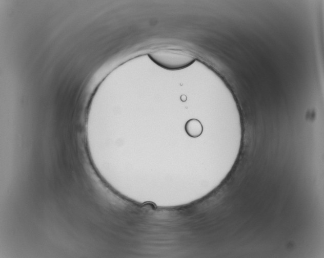 X0000112841520200910021055