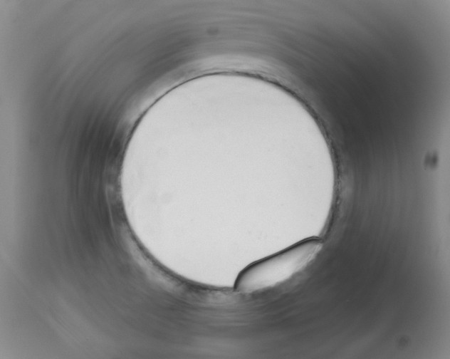 X0000112841521200910021055