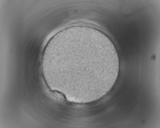 X0000112841522200910021055