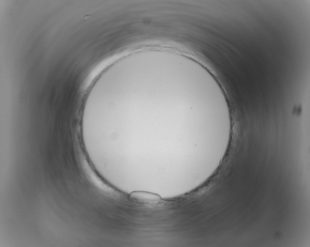 X0000112841523200910021055