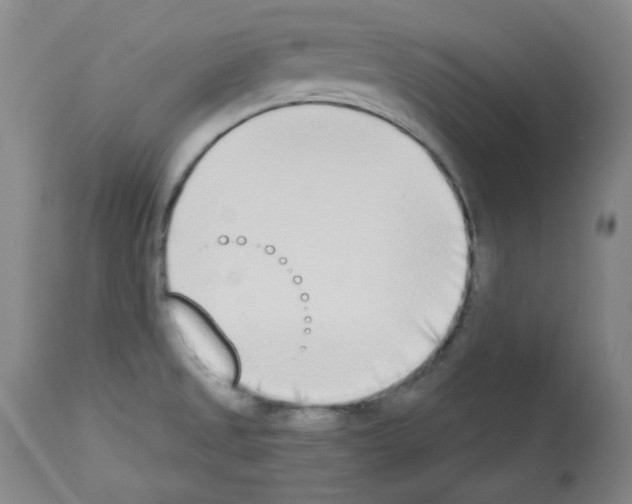 X0000112841525200910021055