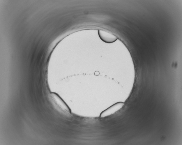 X0000112841526200910021055