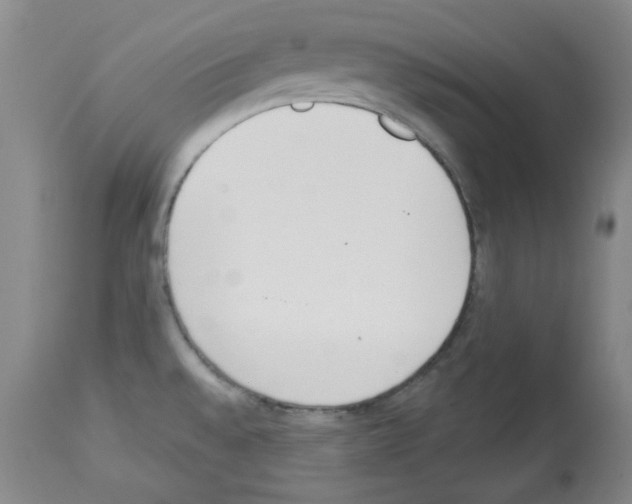 X0000112841528200910021055