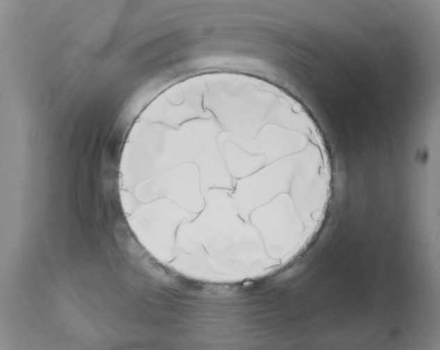 X0000112841529200910021055