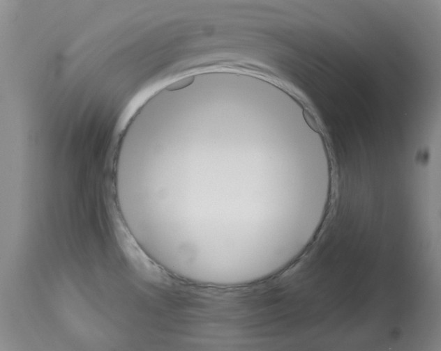 X0000112841530200910021055