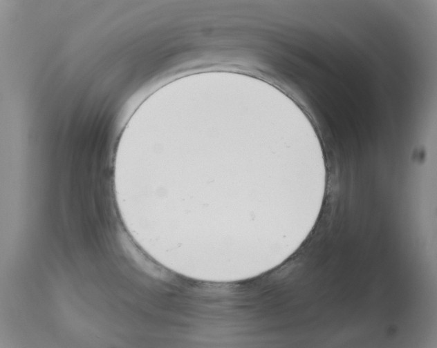 X0000112841532200910021055