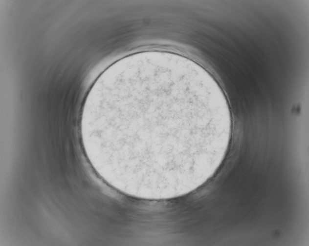 X0000112841533200910021055