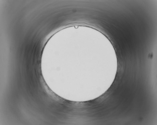 X0000112841534200910021055