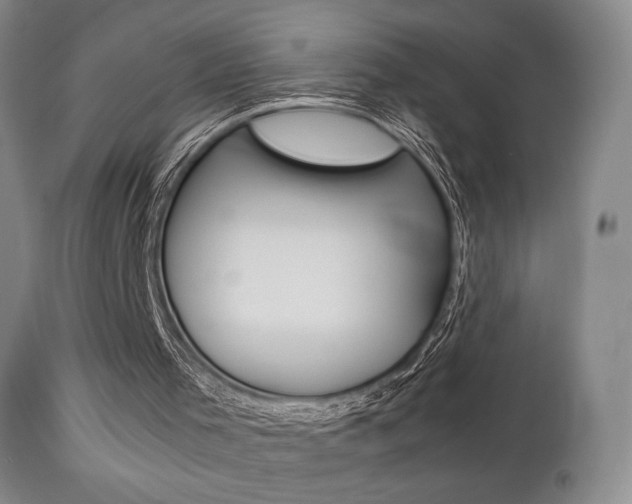 X0000112850001200908211042