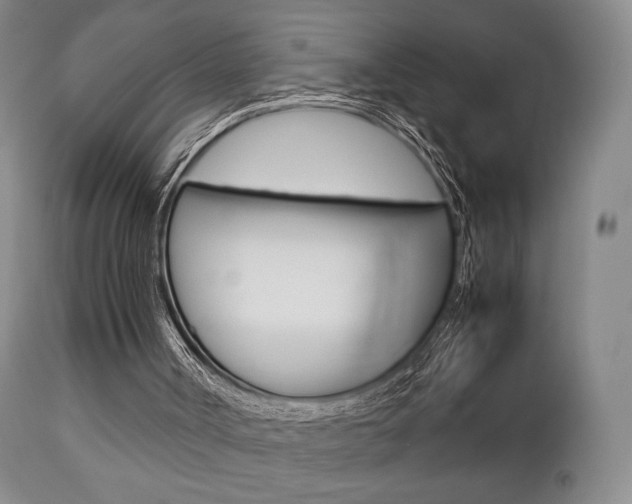 X0000112850002200908211042