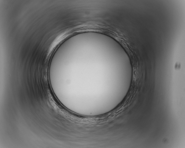 X0000112850004200908211042