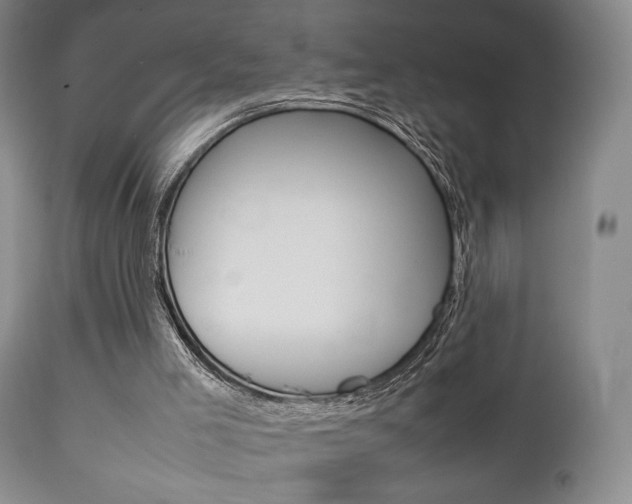 X0000112850005200908211042