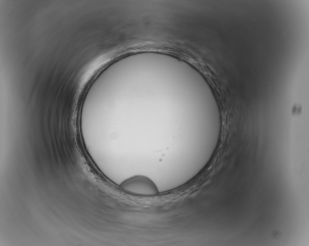X0000112850006200908211042