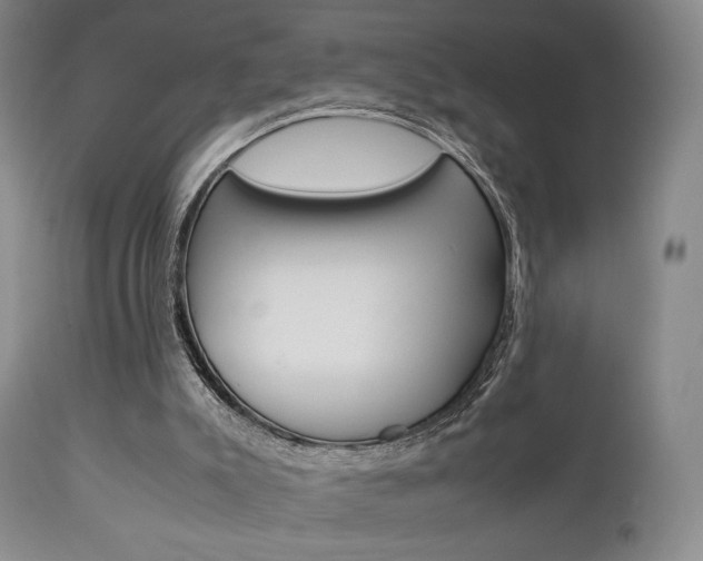 X0000112850007200908211042