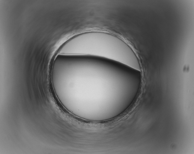X0000112850008200908211042