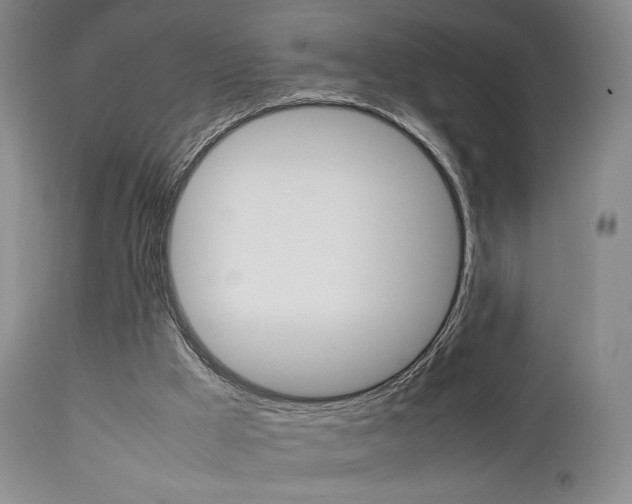 X0000112850009200908211042
