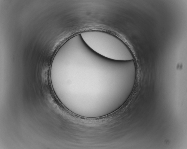 X0000112850010200908211042