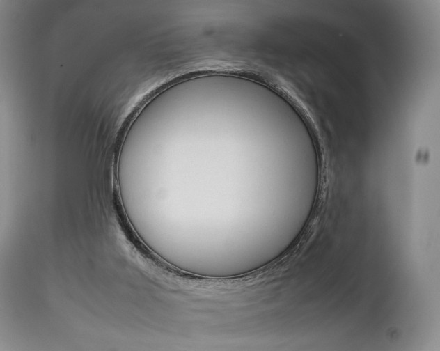 X0000112850011200908211042