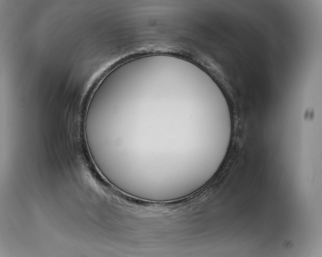 X0000112850012200908211042