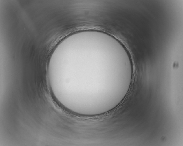X0000112850013200908211042