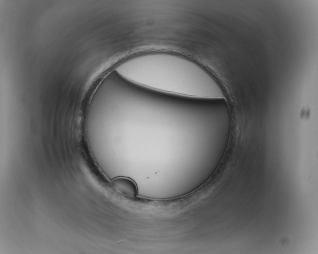 X0000112850016200908211041