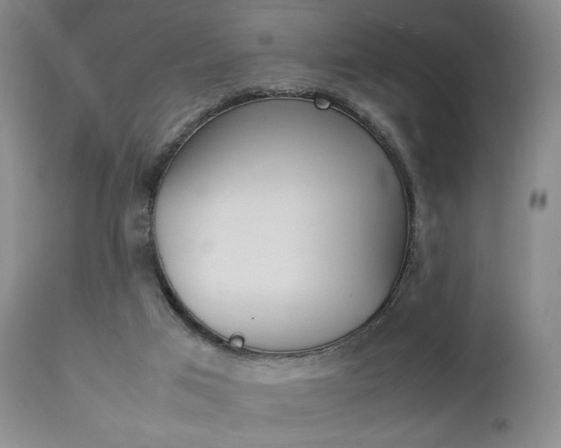 X0000112850017200908211041