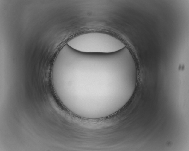 X0000112850018200908211041