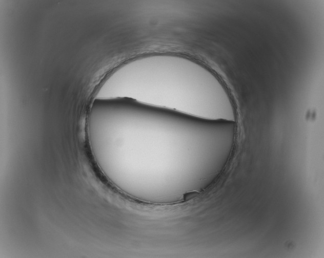 X0000112850019200908211041