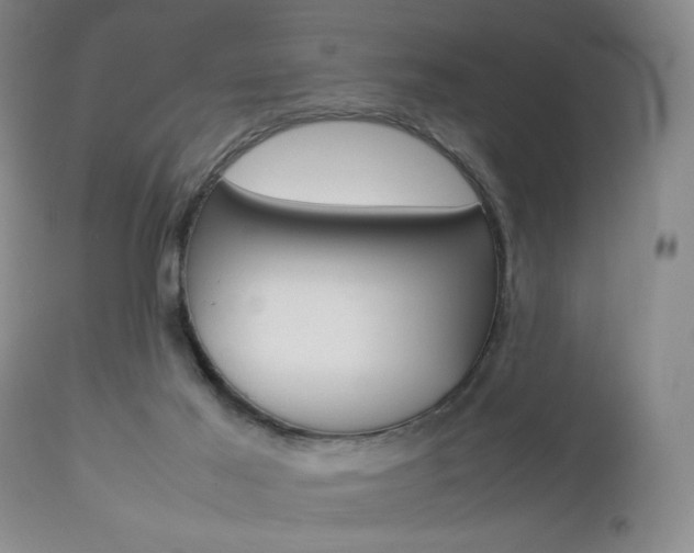 X0000112850021200908211041