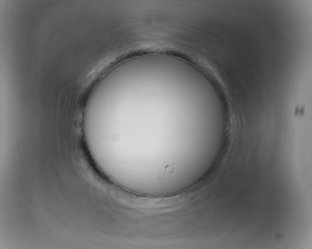 X0000112850023200908211041