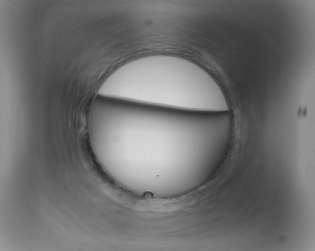 X0000112850025200908211041