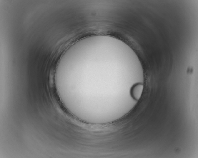 X0000112850026200908211041