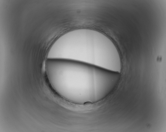 X0000112850027200908211041