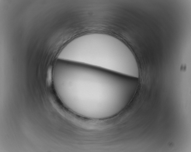 X0000112850028200908211041