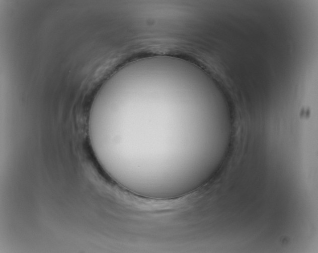 X0000112850031200908211041