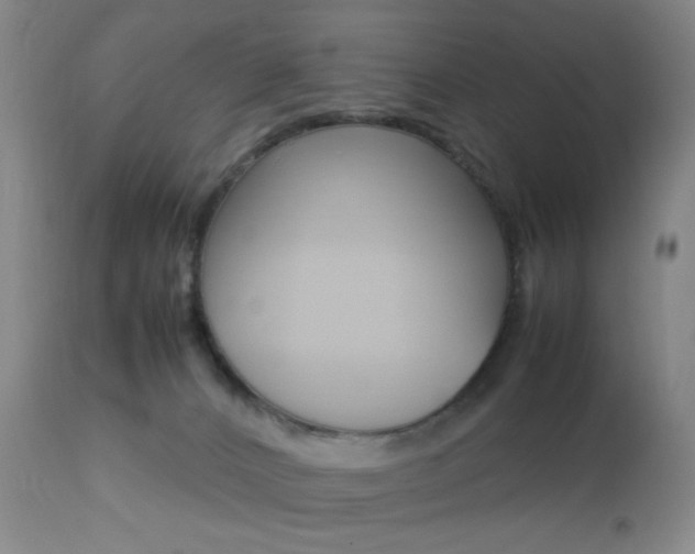 X0000112850032200908211041