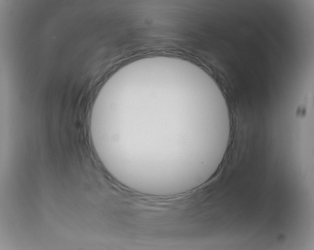 X0000112850033200908211041