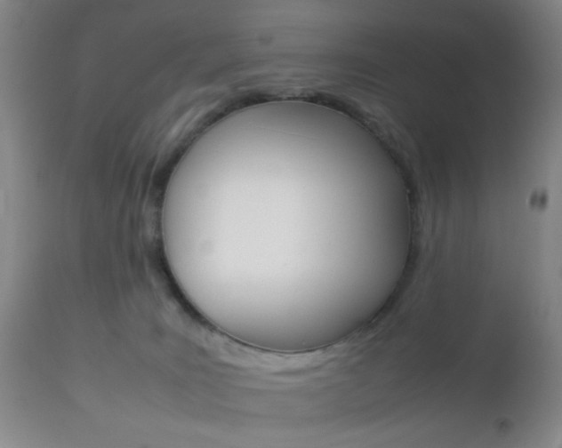 X0000112850035200908211041