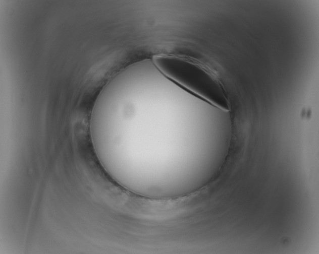 X0000112850037200908211041