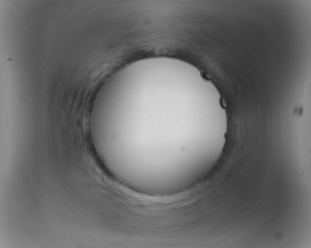 X0000112850039200908211041