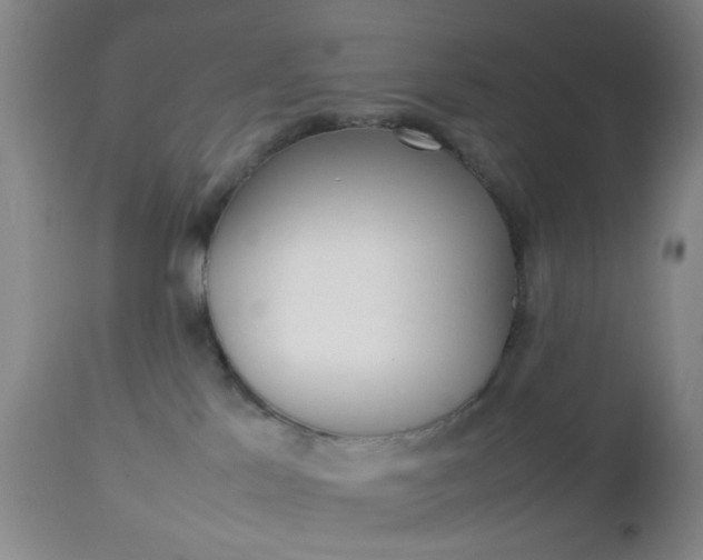 X0000112850041200908211041