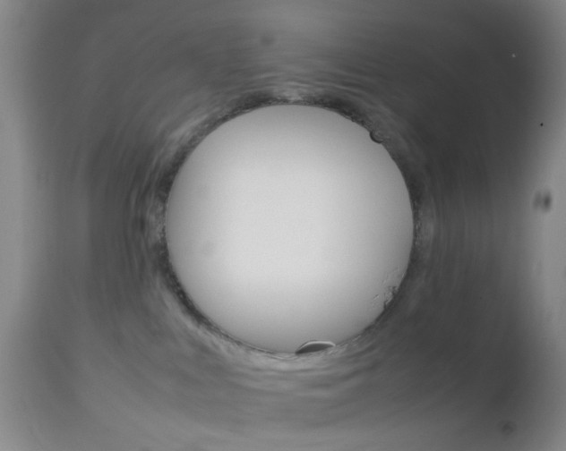 X0000112850043200908211041