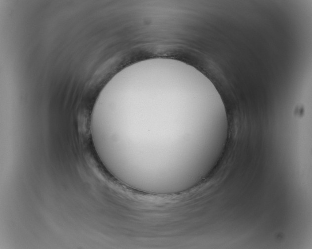 X0000112850044200908211041