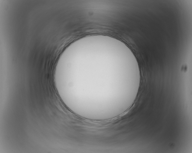 X0000112850045200908211041