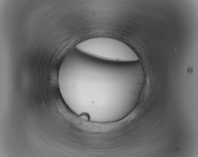 X0000112850048200908211041