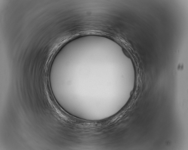 X0000112850049200908211040