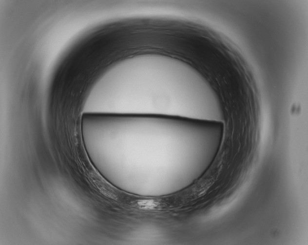 X0000112850050200908211040