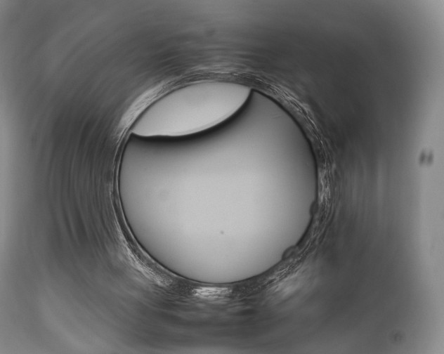 X0000112850051200908211040