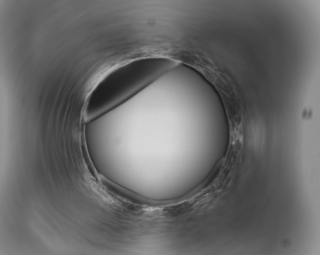 X0000112850052200908211040